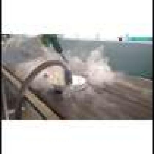 Flächenreiniger FL-DAR 300 M22x1,5